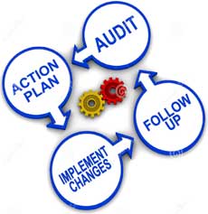 Audit Representation and Resolution